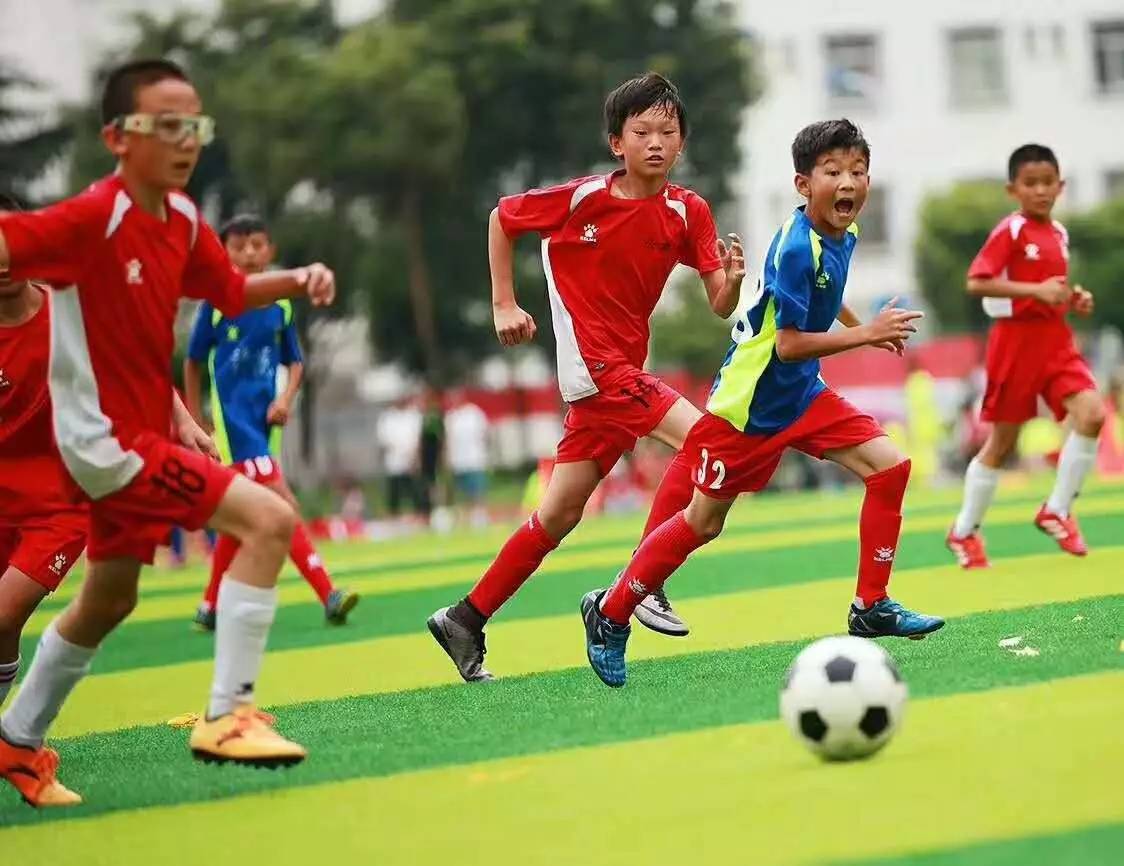 “四川农信杯”四川省第十四届运动会篮球男、女丙组比赛补充通知